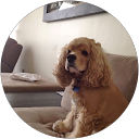 Maribel L. profile picture